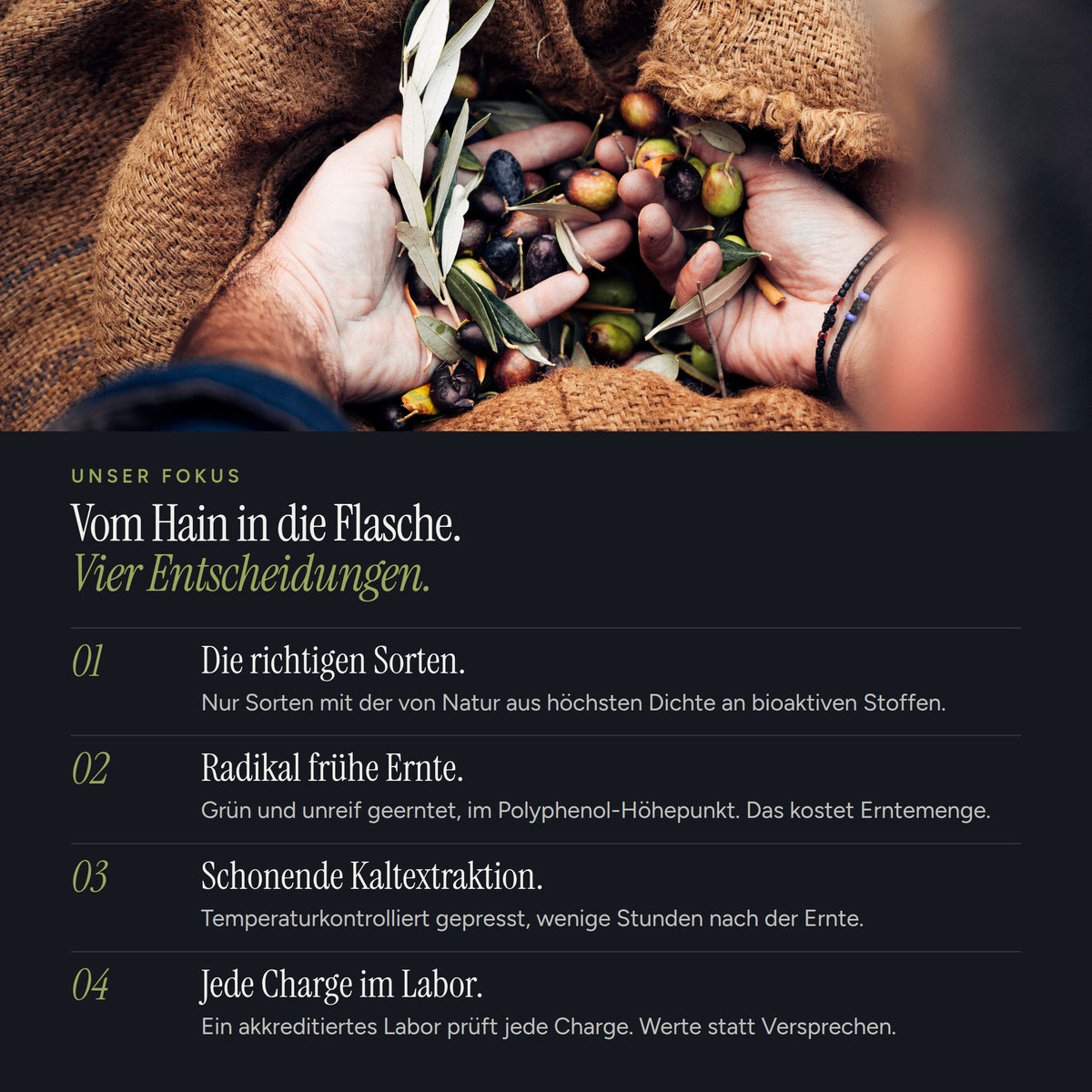 Vom Hain in die Flasche: frühe grüne Ernte und schonende Kaltextraktion für hohe Polyphenolwerte
